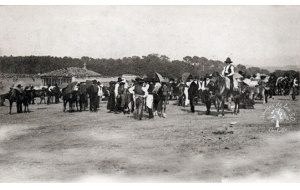 1902 - La feria de Berdillo